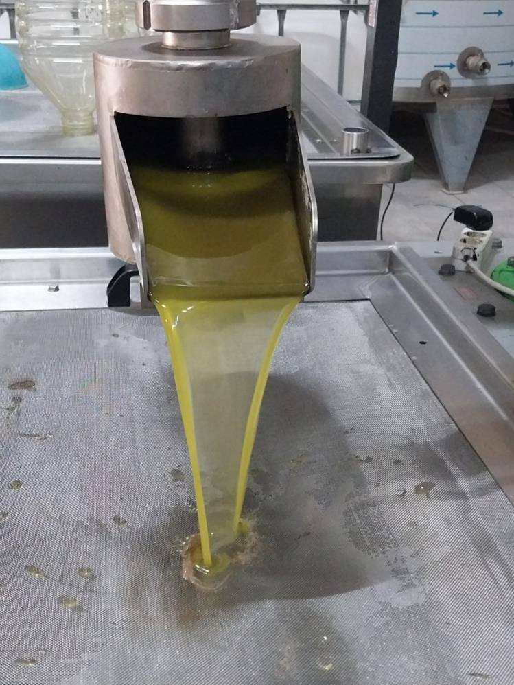 582850959 1433158352142918 1135669186778191681 N