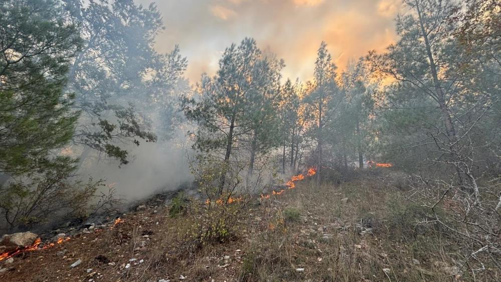 583224667 1434141042044649 4682850061908918343 N