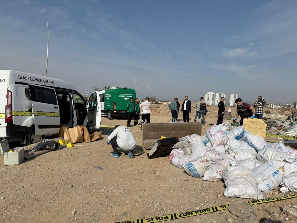 588427910 1442843961174357 7739746273802337152 N