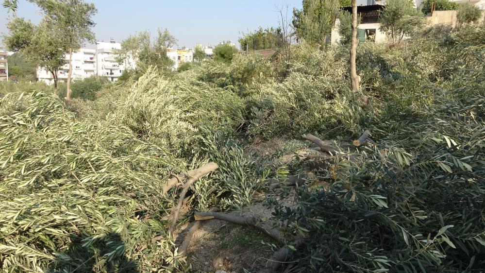 606894703 1469014198557333 765569568563949759 N