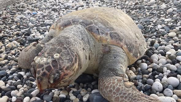 616816647 1488297746628978 3027594711814759212 N