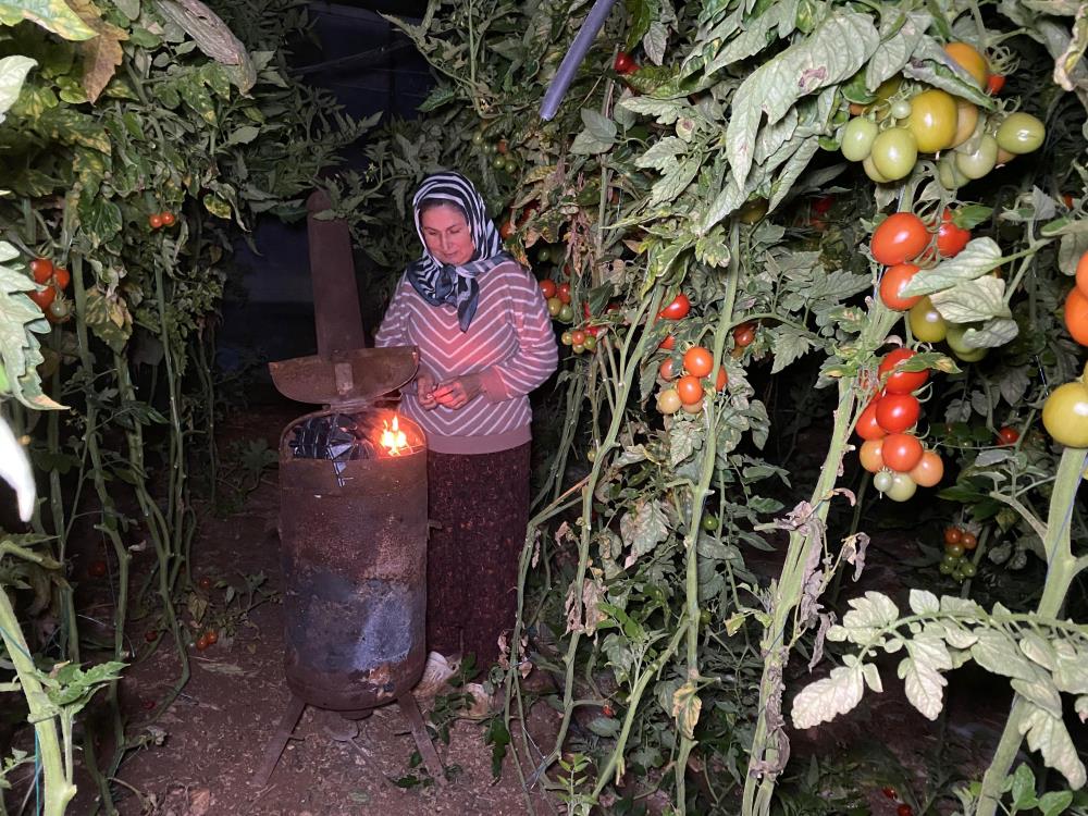 617074701 1490341516424601 318050529790216369 N