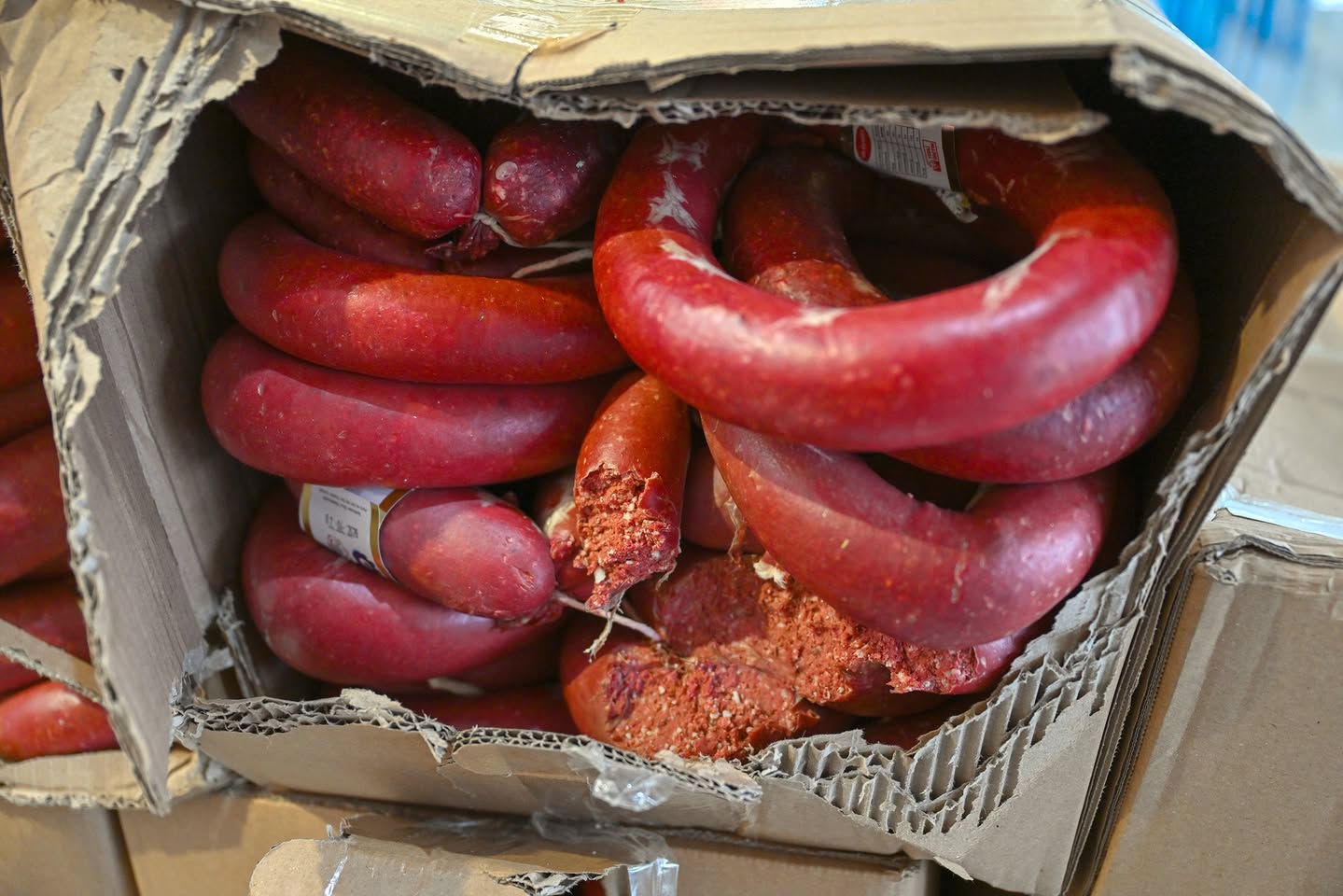 618893214 1489507066508046 4742283565602341231 N