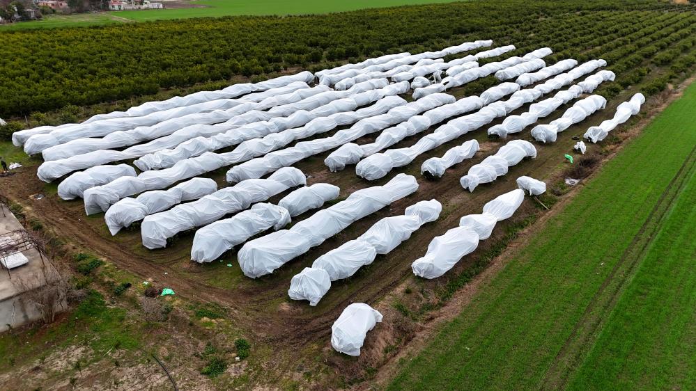 619824535 1493152832810136 4288053022384247567 N