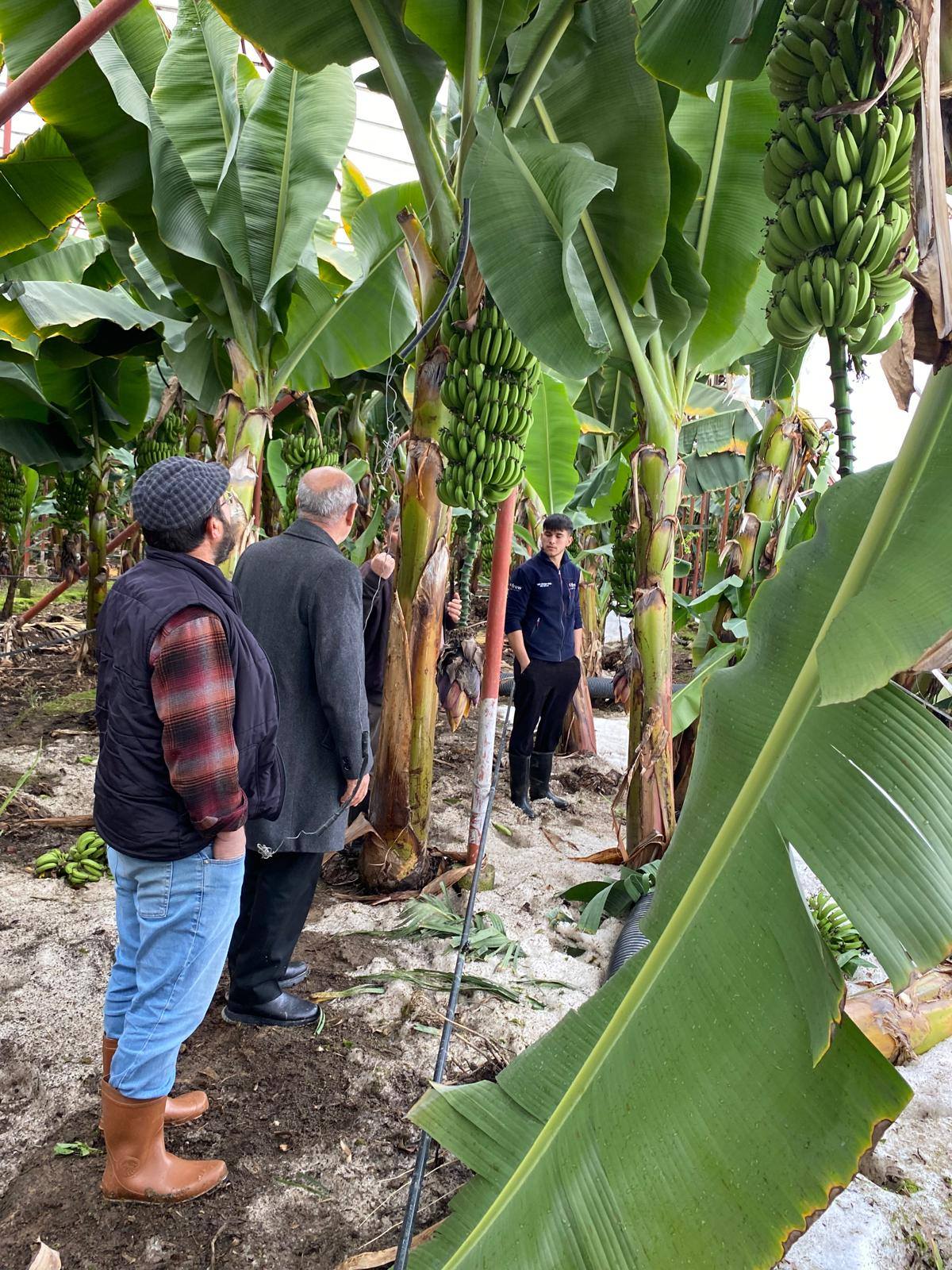 622268955 1497234835735269 3575682207931057805 N