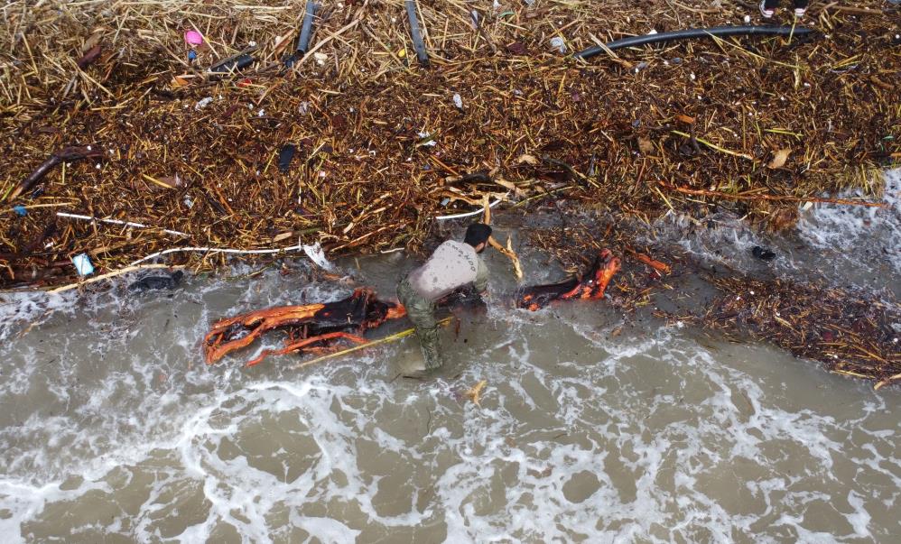 625840124 1502702955188457 1052804967606820424 N