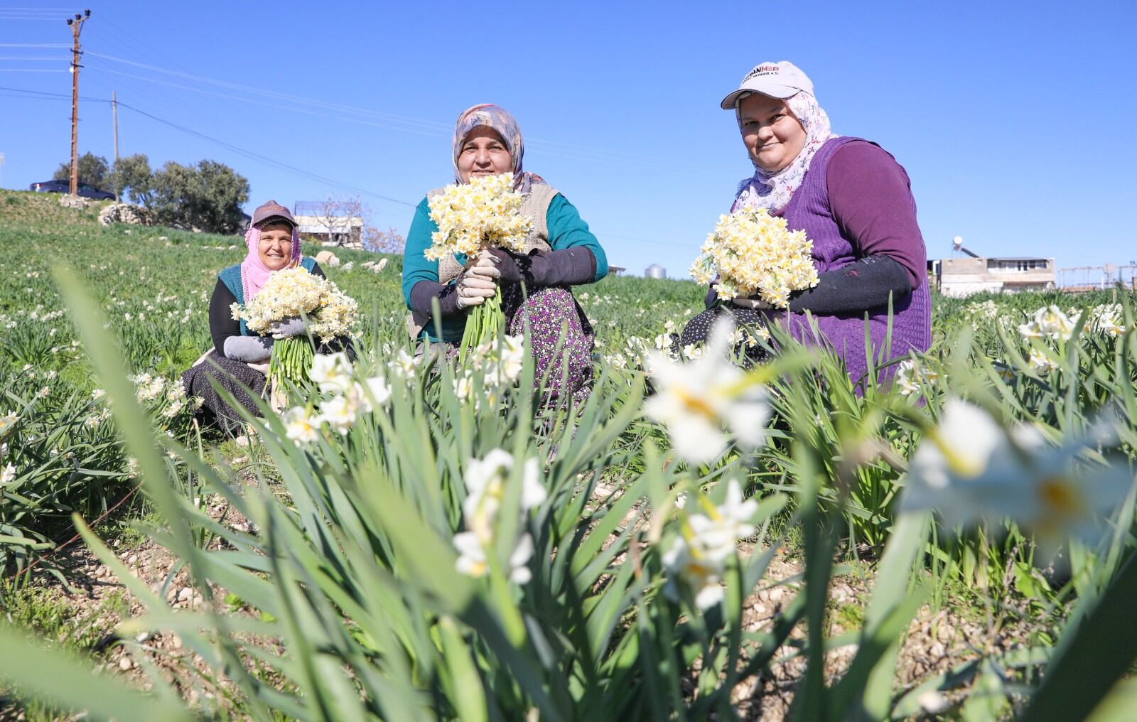 Mersi̇n Büyükşehi̇r’i̇n Nergi̇s Projesi̇ Kirsal Kalkinmaya Destek Oluyor (7)