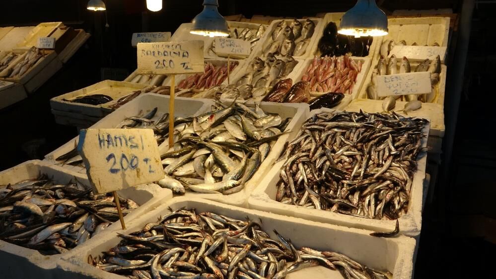 646817764 1532879645504121 4972241092262579090 N