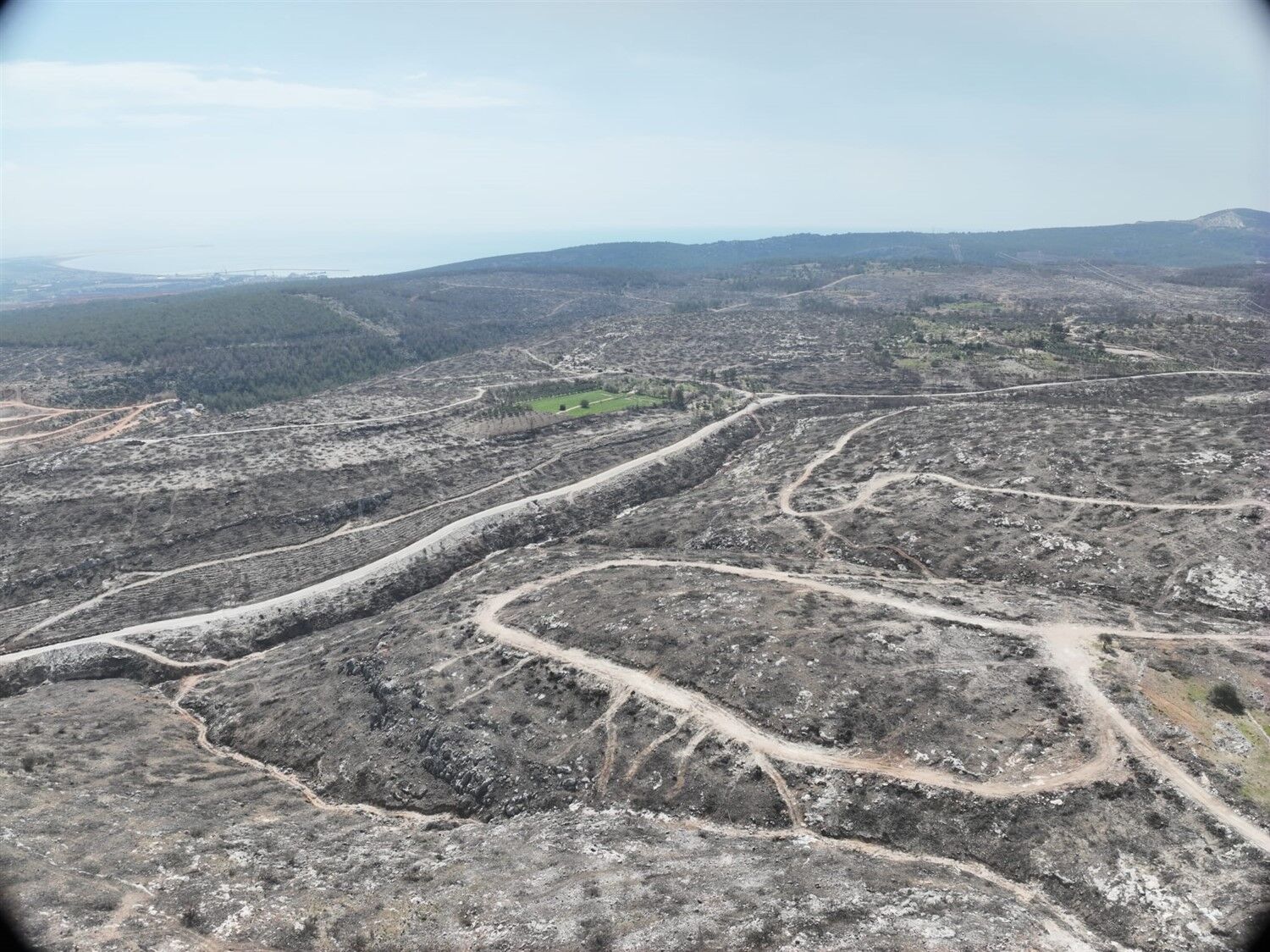 649105163 1536335575158528 8947880635487553380 N