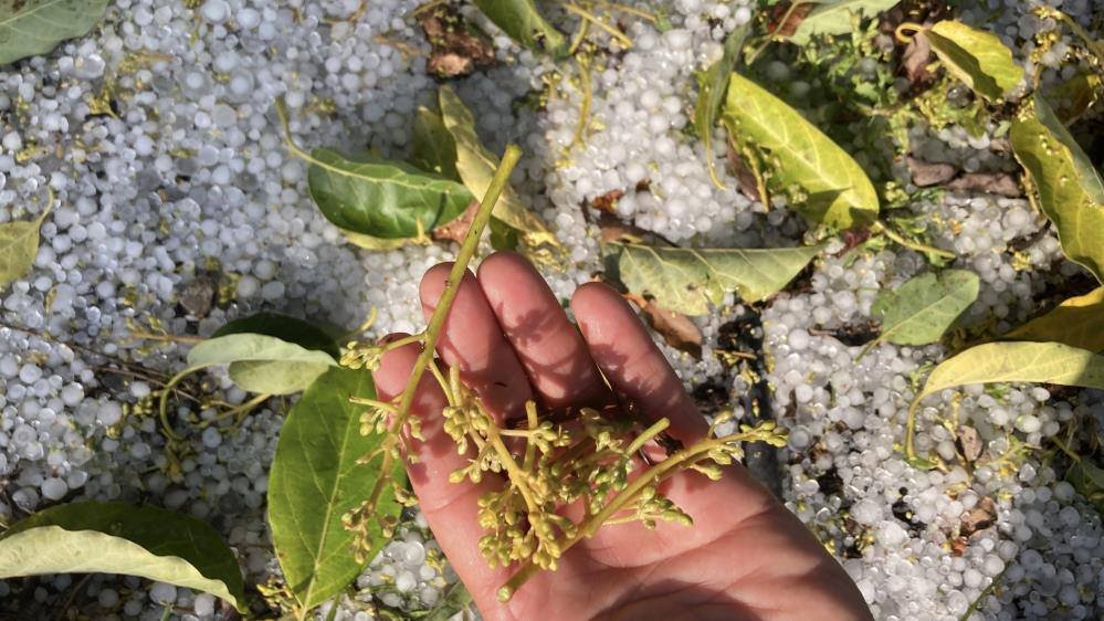 669461625 1564560305669388 7239559902630762350 N