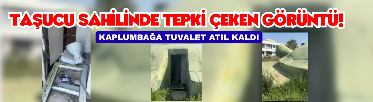 Taşucu Sahilinde Tepki Çeken Görüntü! Kaplumbağa Tuvalet Atıl Kaldı