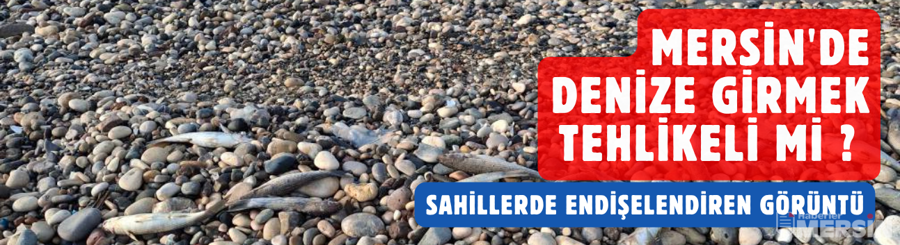 Mersin'de denize girmek tehlikelimi ? Mersin sahillerinde endişelendiren görüntü
