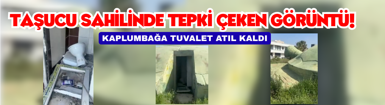 Taşucu Sahilinde Tepki Çeken Görüntü! Kaplumbağa Tuvalet Atıl Kaldı